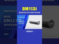 DM113 Food Grade Oil-Immersed Drum Motor For Food Processing Industry